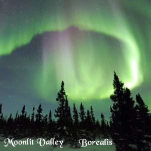 Album art for the music player for Borealis by Moonlit Valley on the SoundsGoodMan Record label.
