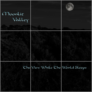 Album art for the music player for The View While The World Sleeps by Moonlit Valley on the SoundsGoodMan Record label.