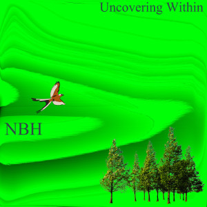 Album art for song For NHB by band Uncovering Within on the SoundsGoodMan Records label SoundsGoodManRecords.com