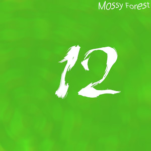 Album art for the music player for 12 by Mossy Forest on the SoundsGoodMan Record label.