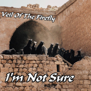 Album art for the music player for I'm Not Sure by Veil Of The Firefly on the SoundsGoodMan Records label
