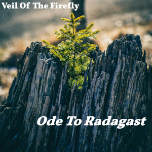Album art for the music player for Ode To Radagast by Veil Of The Firefly on the SoundsGoodMan Records label