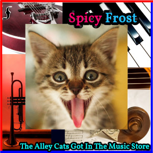 Album art for the music player for The Alley Cats Got In The Music Store by Spicy Frost on the SoundsGoodMan Records label