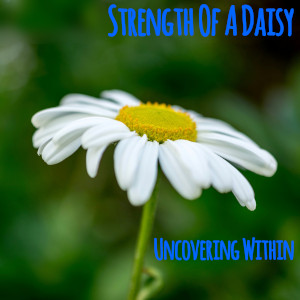 Album art for the music player for Strength Of A Daisy by Uncovering Within on the SoundsGoodMan Records label