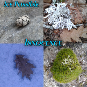 Album art for the music player for Innocence by Ice Possible on the SoundsGoodManRecords.com label